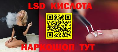 амф Донской