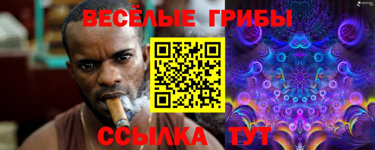Псилоцибиновые грибы Psilocybine cubensis Москва