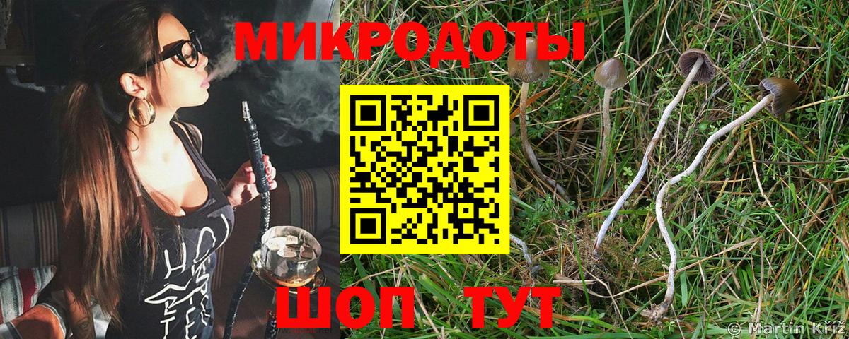 Псилоцибиновые грибы GOLDEN TEACHER  Вход с VPN  магазин  наркотиков  Москва 
